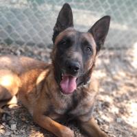 AKILA