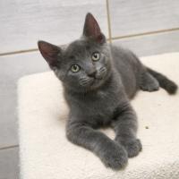 BERLIOZ